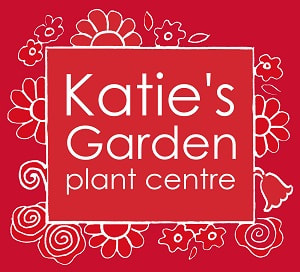 Money Off Coupon In East Anglian Daily Times Katie S Garden